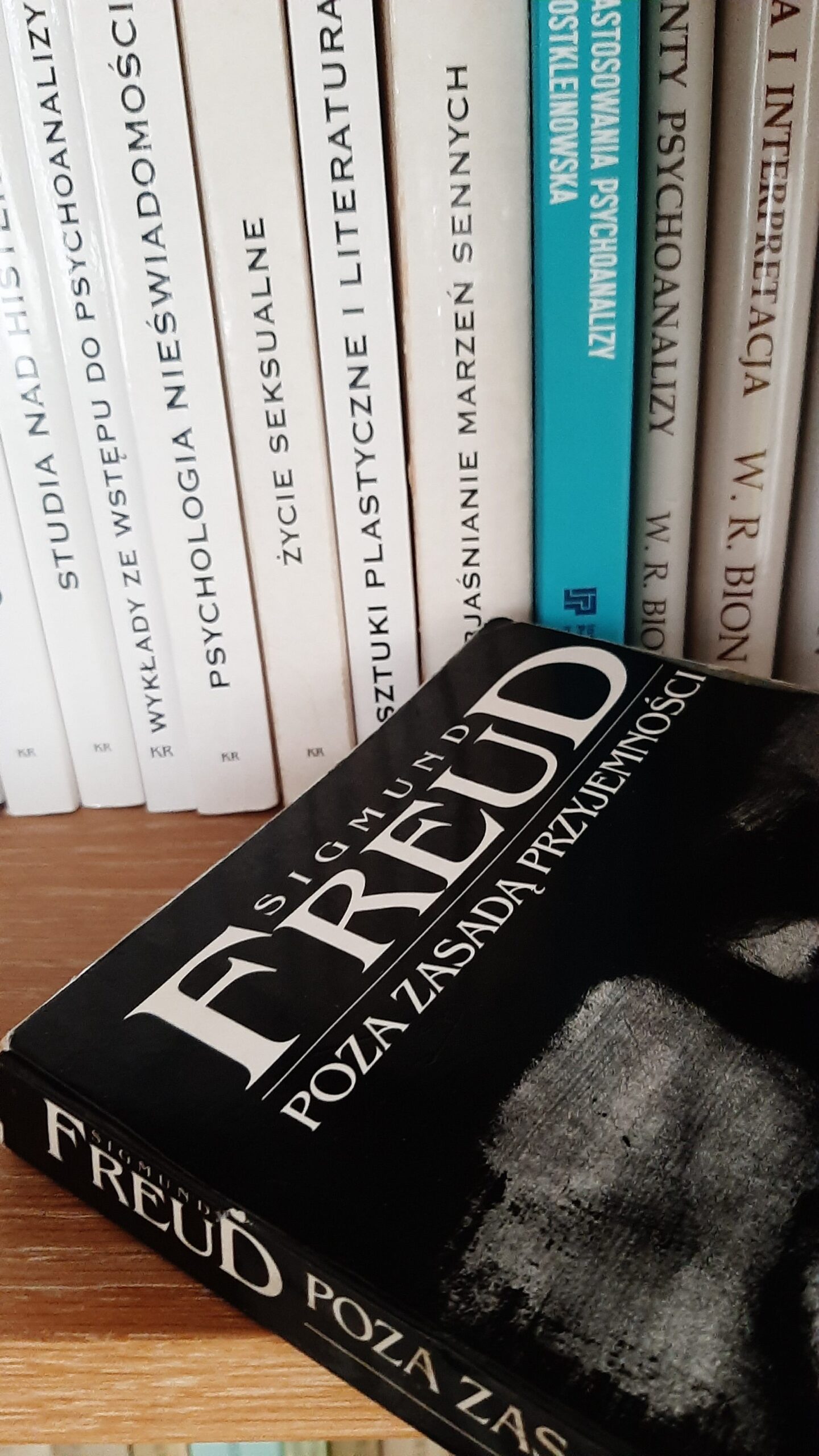 Małgorzata Ojrzyńska – Pomiędzy anarchią a porządkiem, czyli o antropocentyrycznym stosunku do świata i lękach, które go wywołują